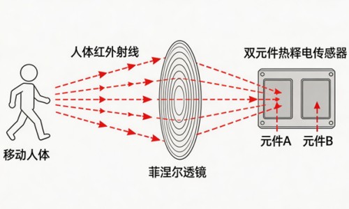 怀孕期间吃什么对胎儿发育好-怀孕期间吃什么凉药好网 - 怀孕期间吃什么对胎儿发育好,怀孕期间吃什么水果对胎儿好